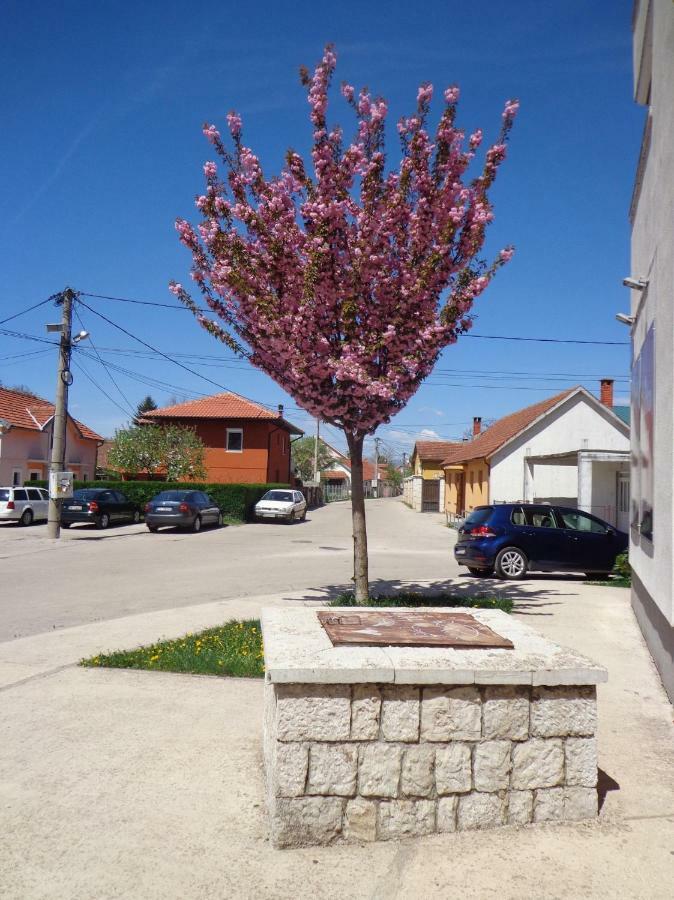 Apartman Bedem Nikšić Exterior foto